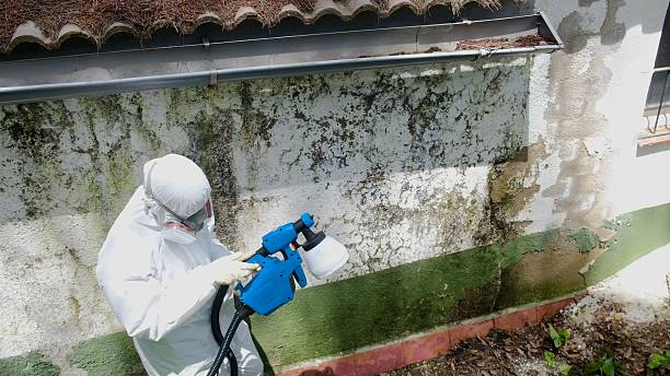 Top rated local Crawl Space Mold Remediation specialists in Camden, TN